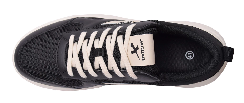 JAGUAR 4344 - Image 6